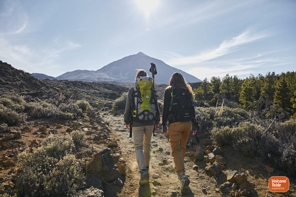 Volcano Teide