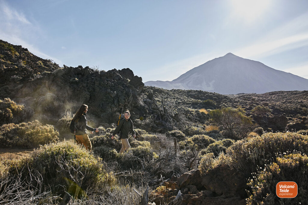 Volcano Teide