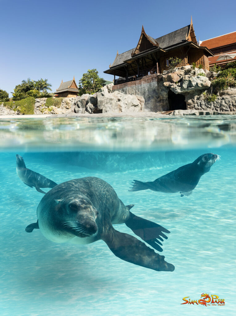 Siam Park